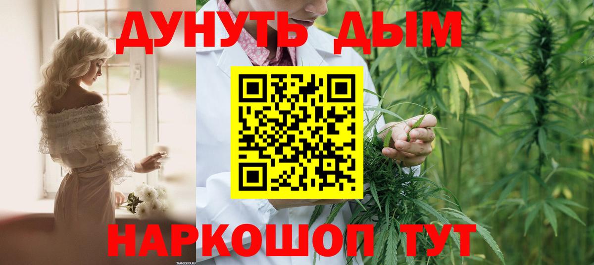 Каннабис план Ахтубинск